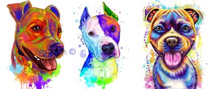 Staffordshire Bull Terrier Caricature
