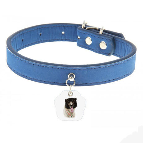 Dog Portrait from Photos on Photo Tag - example