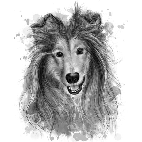 Rough Collie Portrait Painting from Photos in Graphite Style - example