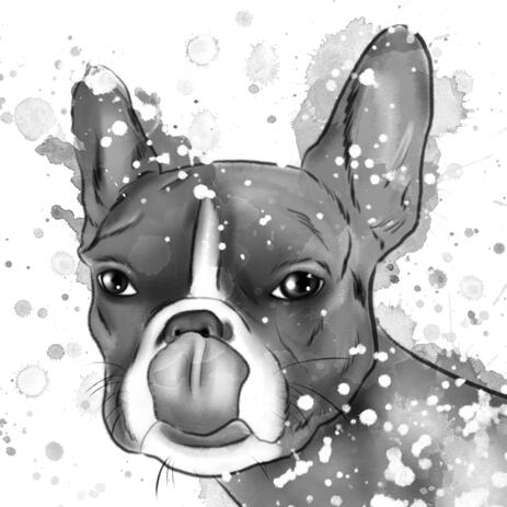 French Bulldog Caricature Portrait Cartoon in Head and Shoulders Black Lead Watercolour Style - example