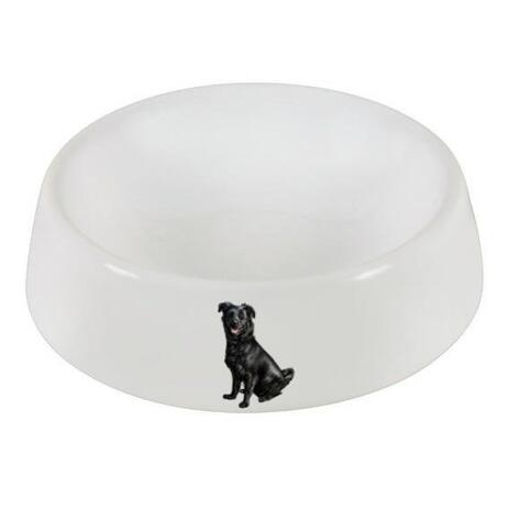 Dog Portrait from Photos on Pet Bowl - example