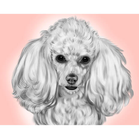 Realistic Poodle Sketch Drawing in Black and White Style with Background - example