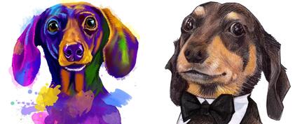 Dachshund Caricature