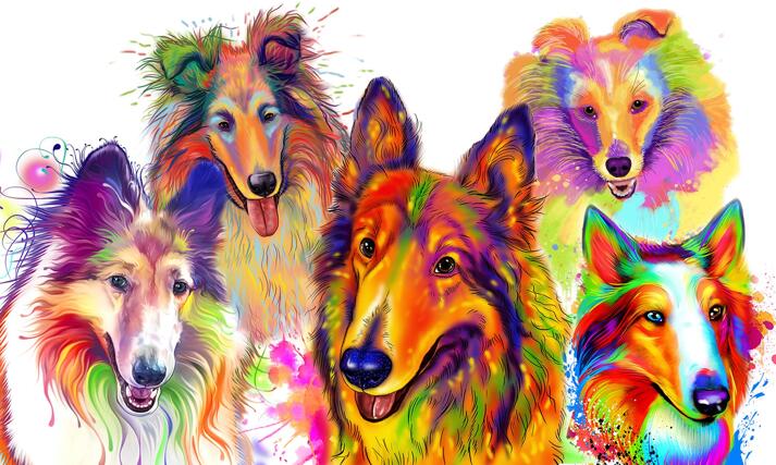 Collie Caricature large example