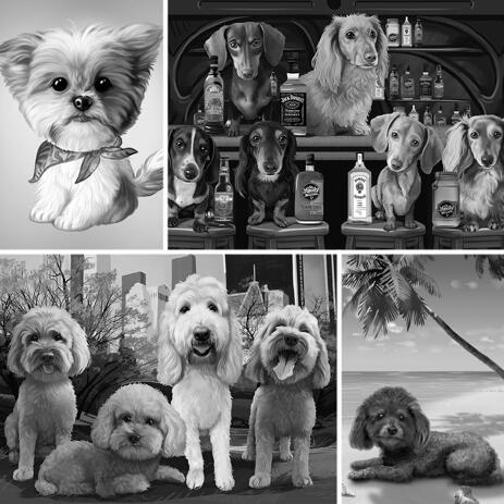 Full Body Black and White Dog Portrait with Gray Background - example