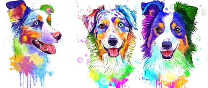Australian Shepherd Caricature