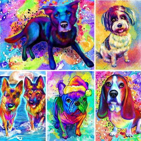 Rainbow Full Body Dog Portrait With Colored Background
