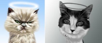 Memorial Cat Portrait