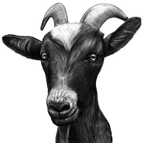 Cualquier retrato de mascotas de fotos en estilo blanco y negro - example