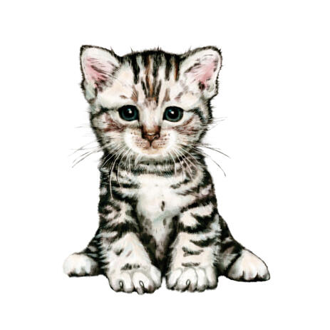 Adorable Kitty Cat Full Body Portrait from Photos in Colored Style - example
