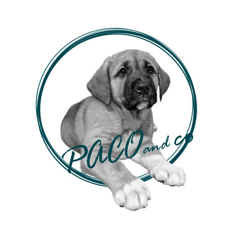 Pet Portrait Logo Caricature from Photo for Business Avatar - example