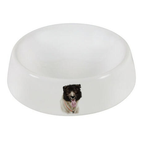 Dog Caricature Printed on Bowl - example