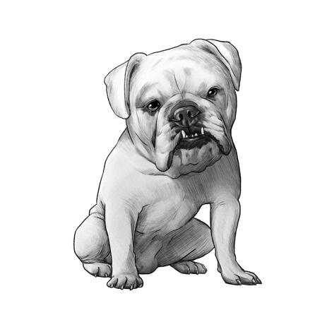 Hand Drawn Bulldog Portrait in Full Body Black and White Pencil Style from Photos - example