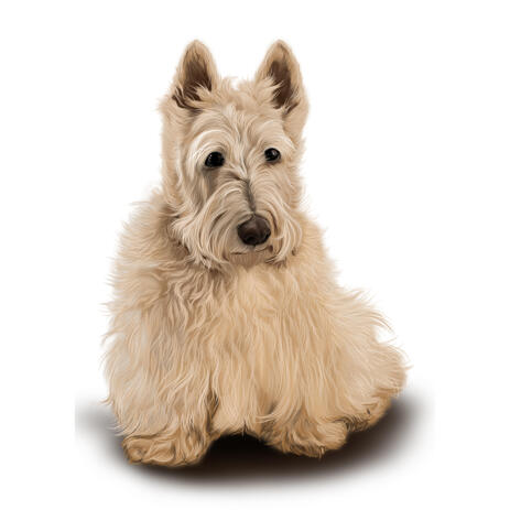 Scottish Terrier Portrait in Full Body Colored Style from Photos - example