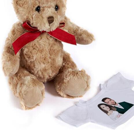 Wedding Caricature on Teddy Bear - example