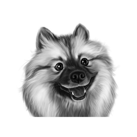 Spitz Cartoon Caricature in Black and White Digital Style from Photos - example