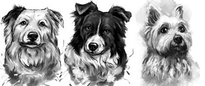 Graphite Watercolor Portrait