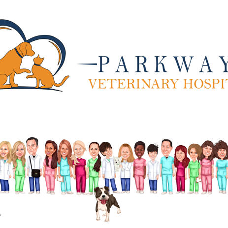 Group Caricature for Veterinary Doctors - example