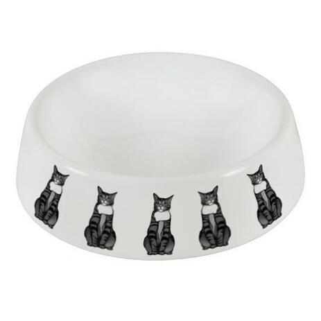 Cat Portrait from Photos on Pet Bowl - example