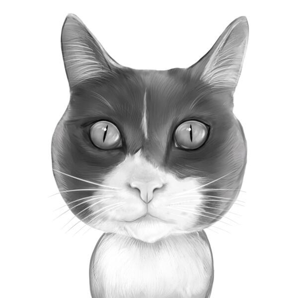 Portrait De Chat A Partir De Photos En Style Noir Et Blanc