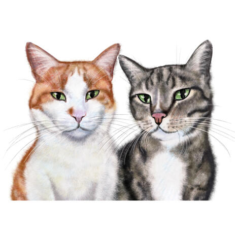 cat portrait