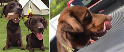 Labrador Caricature