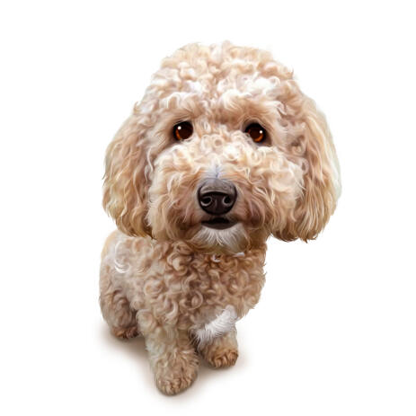 Miniature Toy Poodle Full Body Cartoon from Photos for Custom Gift - example