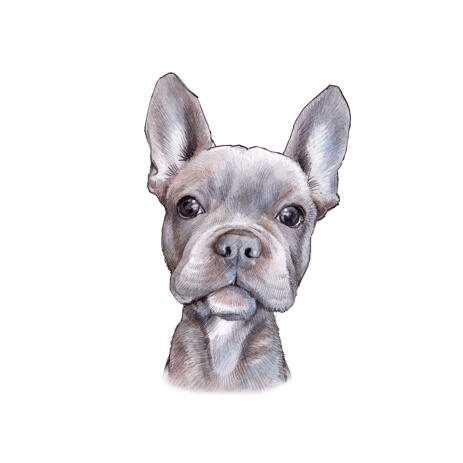 French Bulldog Caricature Portrait from Photos in Color Style for Pet Lovers Gift - example