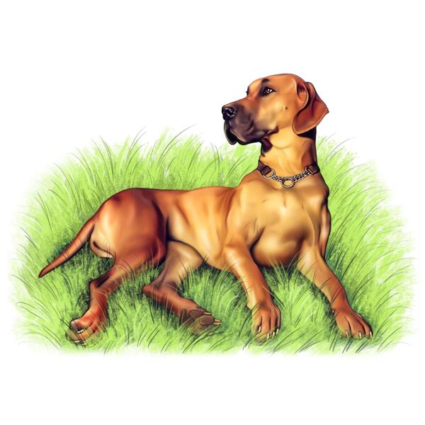 Full Body Dog Portrait On Grass Background In Colored Style