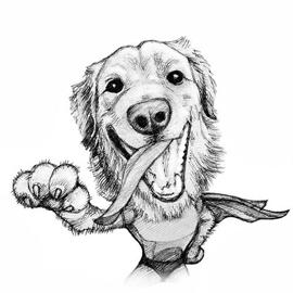 Custom Animal Drawings: Pet Portraits and Caricatures ...