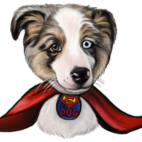 Superhero Husky Portrait Caricature as Custom Gift for Dog Lovers - example