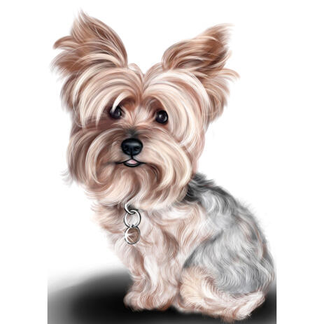 Yorkshire Terrier Caricature Portrait in Full Body Colored Style from Photo - example
