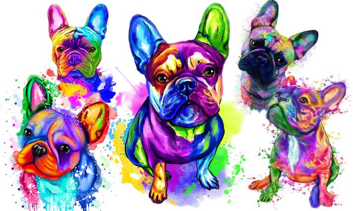 French Bulldog large example