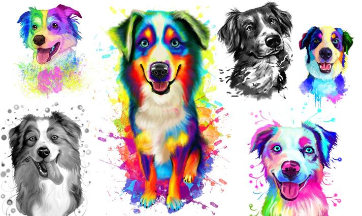 Australian Shepherd Caricature large example