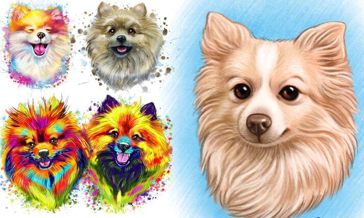 Pomeranian Spitz large example
