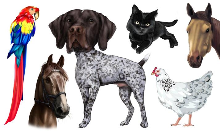 Mixes Pets Caricature large example